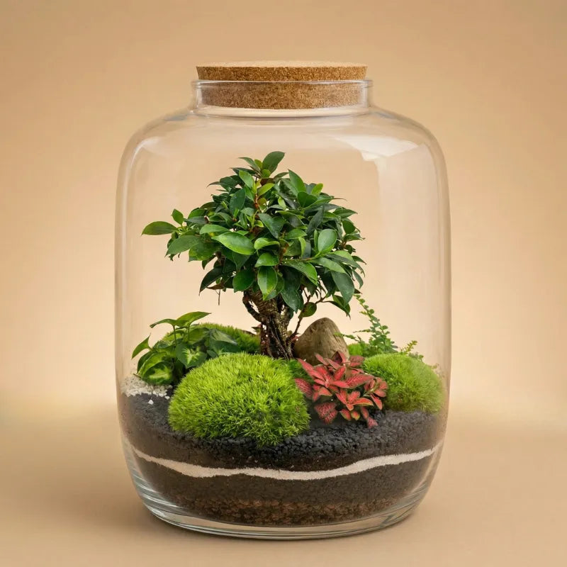 Terrarium piante verdi Zeno - Vista frontale del terrarium chiuso con piante lussureggianti