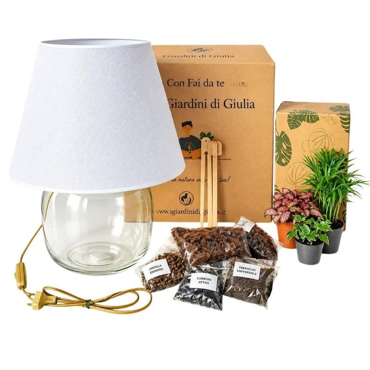 Large Terrarium Lamparium Kit with Green Plants