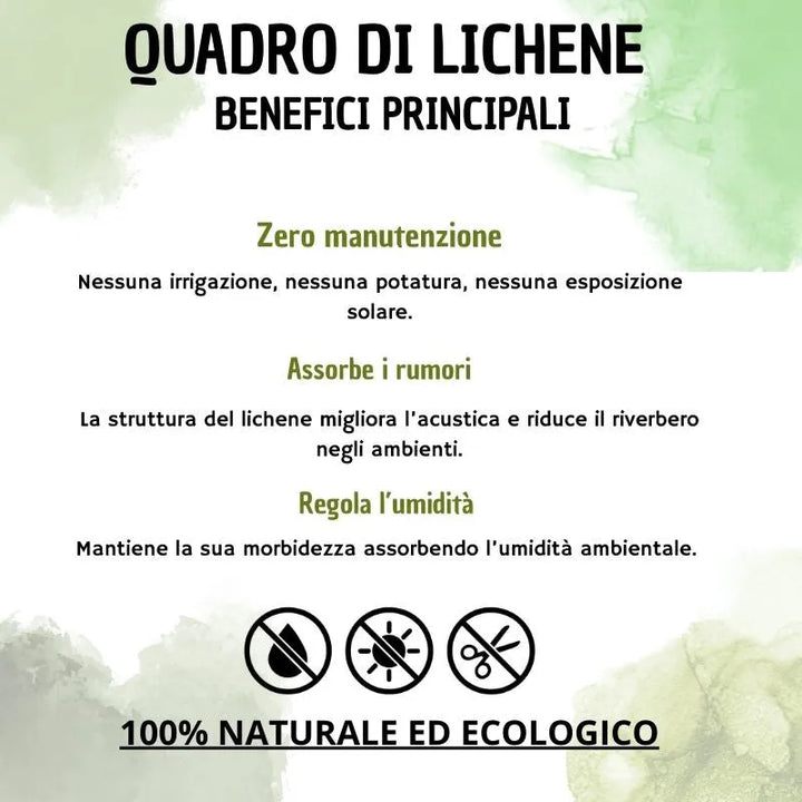 Quadro licheni stabilizzati cornice nera - infografica benefici zero manutenzione
