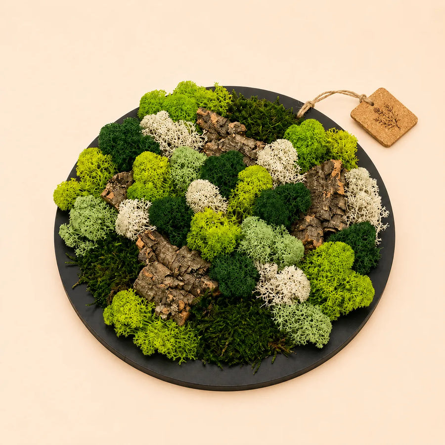 Quadro tondo nero decorato con muschio e licheni stabilizzati nelle tonalità verde chiaro, verde bosco e bianco, arricchito da inserti in corteccia naturale.