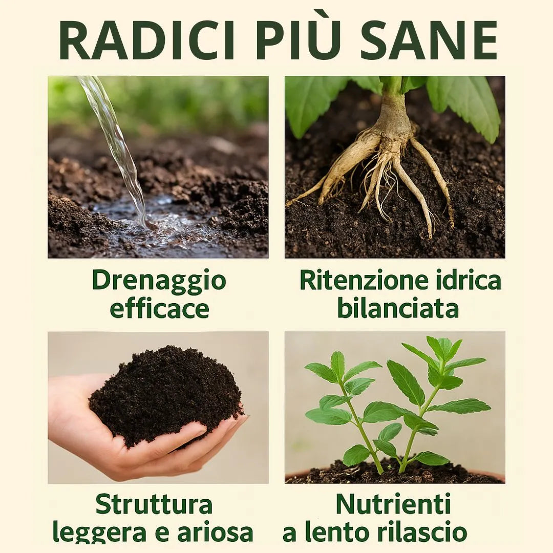 Benefici del terriccio per piante aromatiche su radici: miglior drenaggio, ritenzione idrica bilanciata, struttura soffice e nutrienti a rilascio graduale.