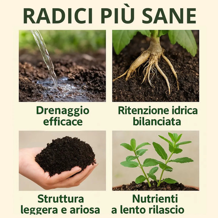 Benefici del terriccio per piante aromatiche su radici: miglior drenaggio, ritenzione idrica bilanciata, struttura soffice e nutrienti a rilascio graduale.