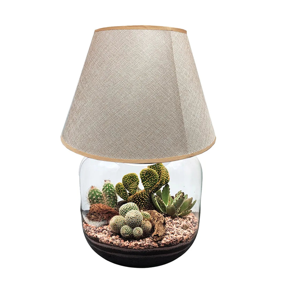Terrarium Lamparium Martina Cactus - i Giardini di Giulia  