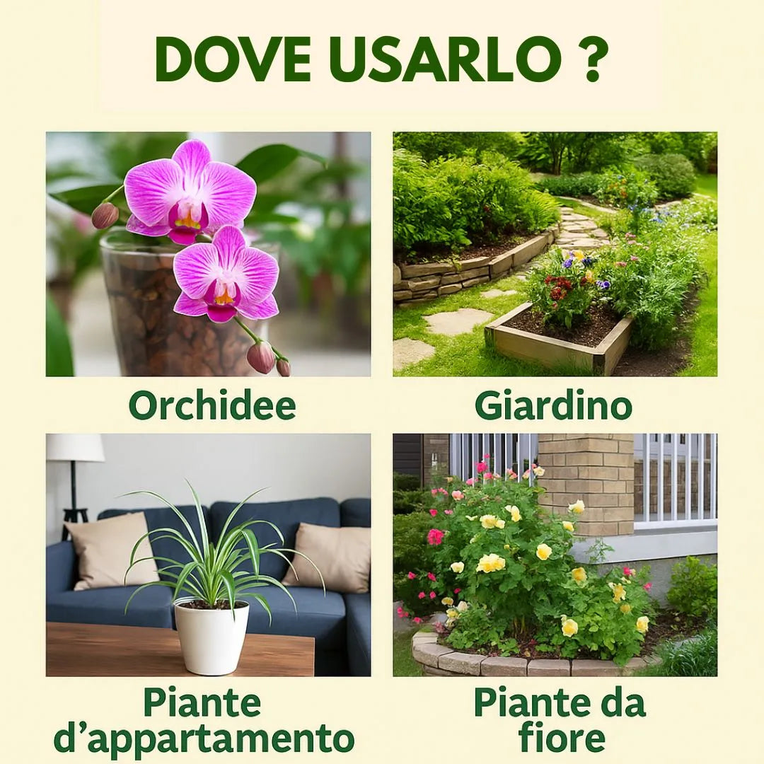 Infografica che mostra i possibili utilizzi del terriccio per orchidee: in vaso, in giardino, per piante da appartamento e piante da fiore.