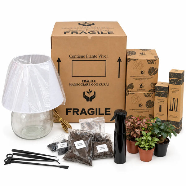 Super kit DIY Lamparium - Tout inclus