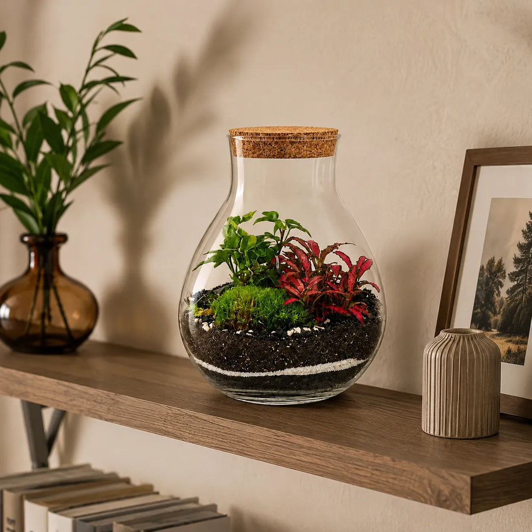 Terrarium Inside con piante verdi, Fittonia rossa e muschio, posizionato su una mensola in legno in un ambiente interno moderno con elementi d'arredo minimal.