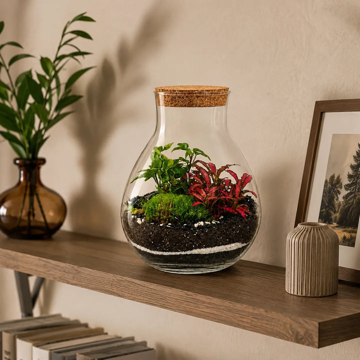 Terrarium Inside con piante verdi, Fittonia rossa e muschio, posizionato su una mensola in legno in un ambiente interno moderno con elementi d'arredo minimal.