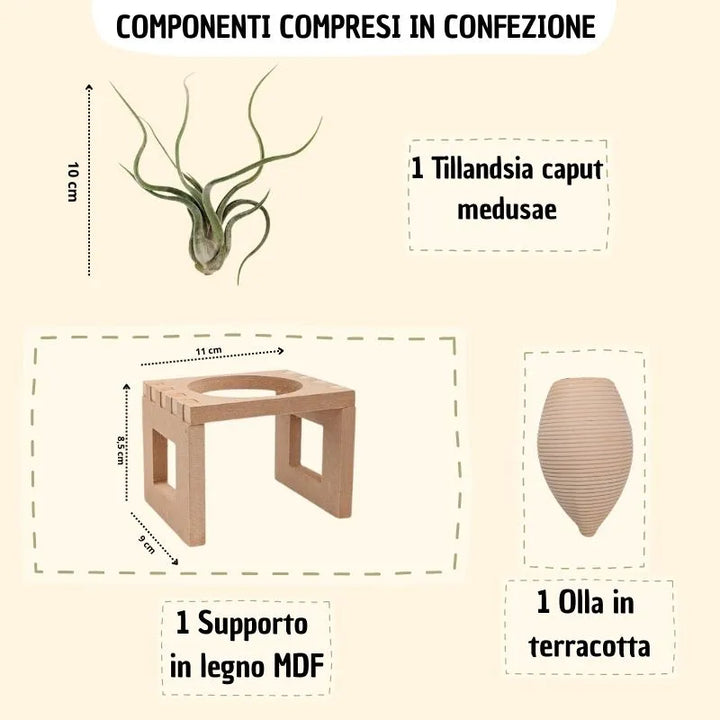 infografica che mostra i vari componenti inclusi in confezione e le varie misure dei vari elementi 