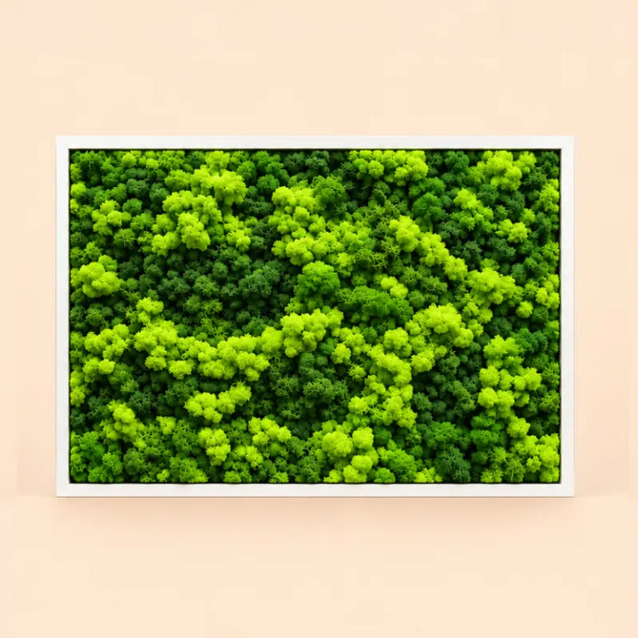 Quadro decorativo rettangolare 83x63 cm con cornice bianca, realizzato con licheni stabilizzati in diverse sfumature di verde, su sfondo neutro.