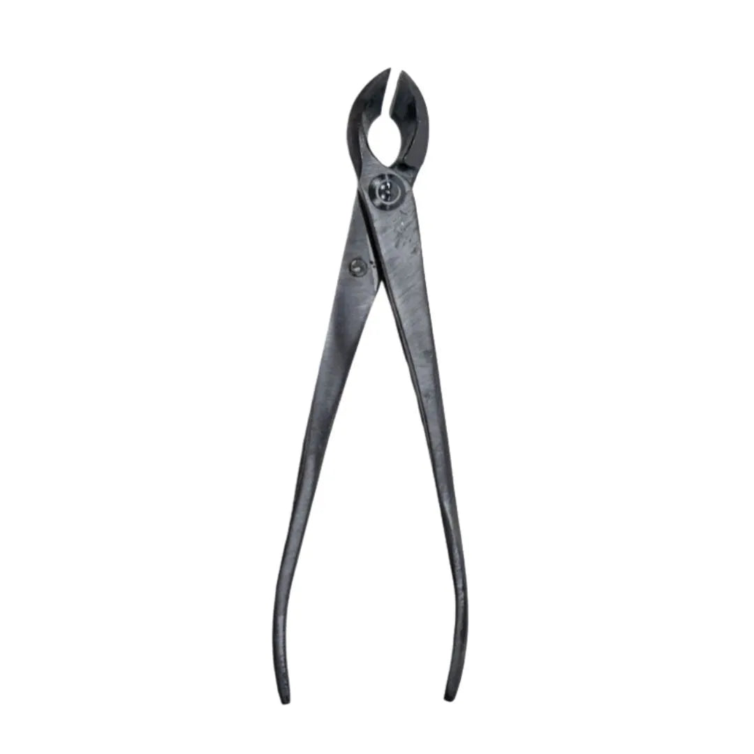 Tronchese concavo a taglio dritto da 170 mm in acciaio nero per potature fini su bonsai