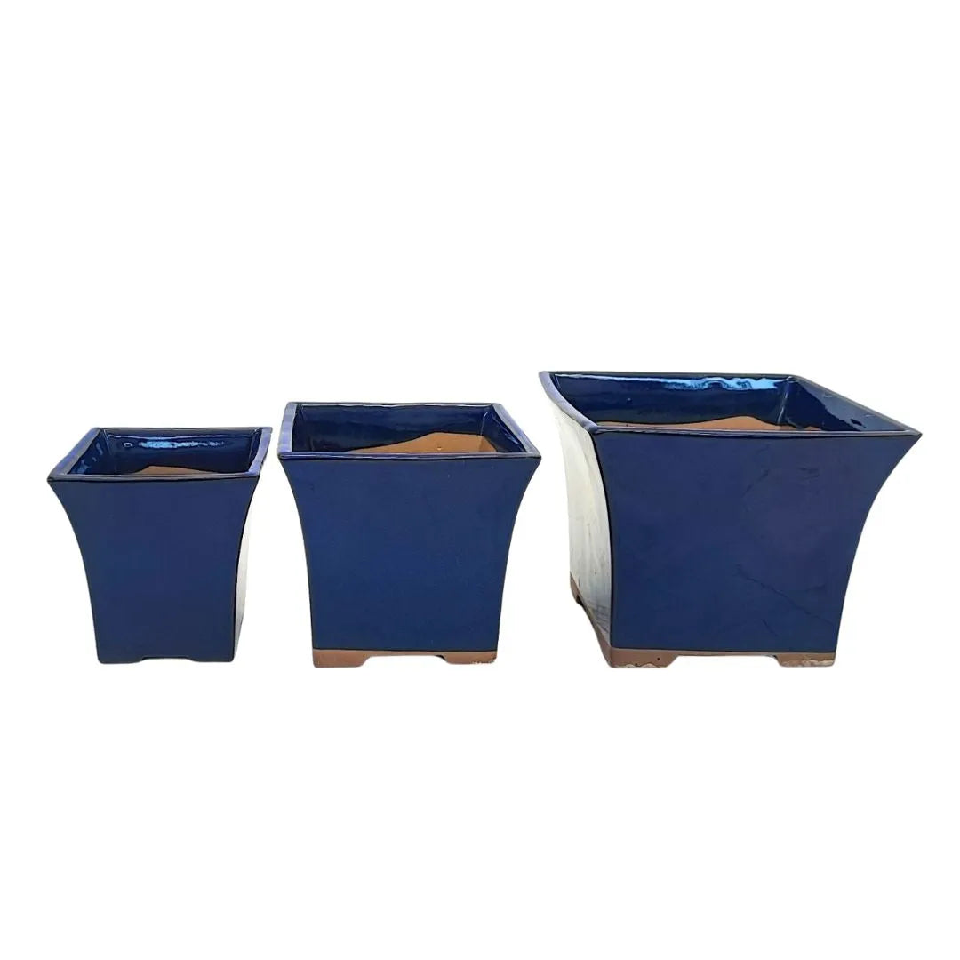 6 vasi da allenamento per bonsai da 16.2 cm, con vassoi e 15 etichette per piante 6 vasi da allenamento per bonsai da 16.2 cm, con vassoi e 15 etichette per piante