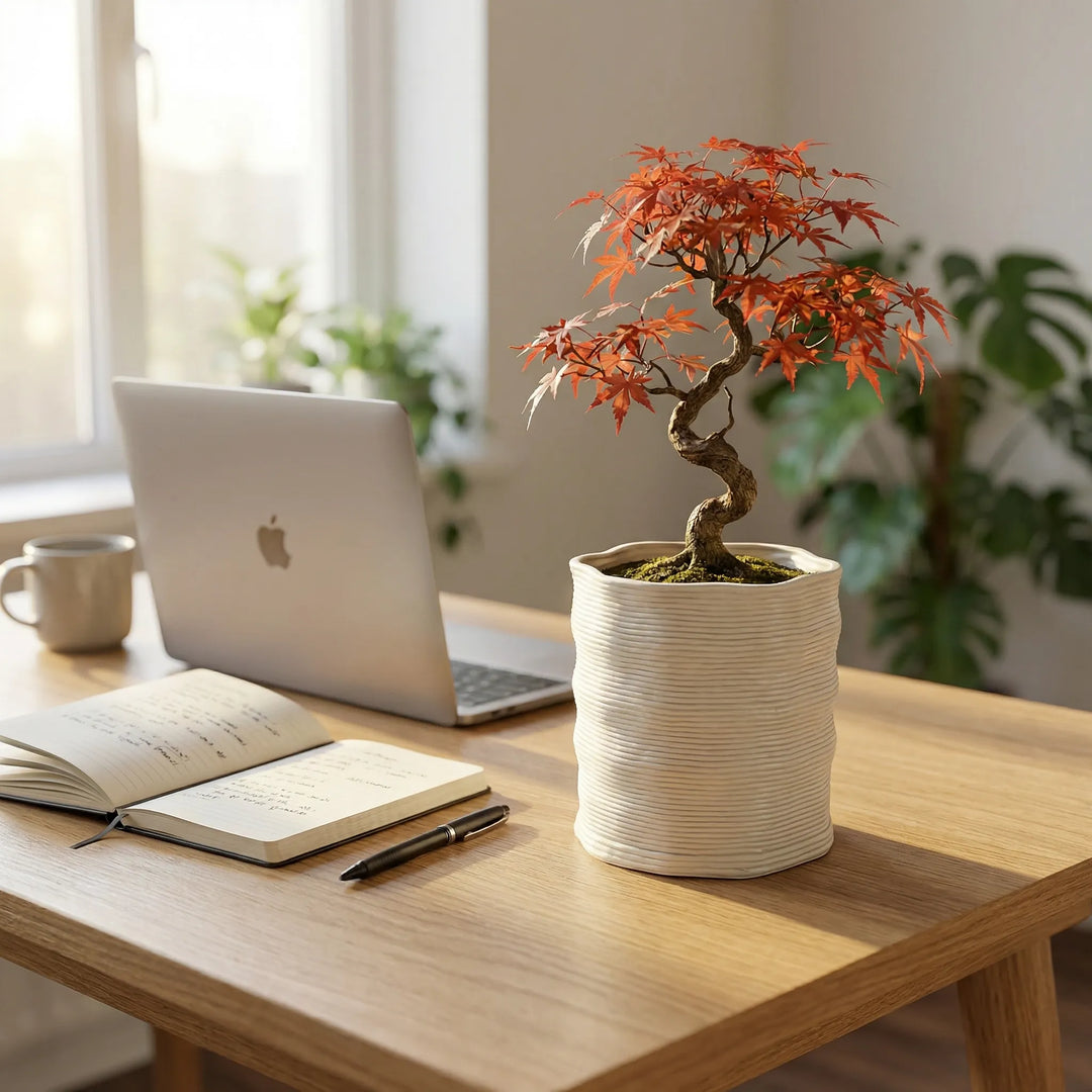 Vaso Andromeda in argilla con bonsai acero rosso su scrivania in legno accanto a laptop e taccuino