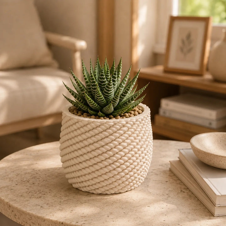 Vaso artigianale Carina in finitura avorio con texture intrecciata, decorato con una Haworthia Zebra, ideale per arredare soggiorni e ambienti moderni.