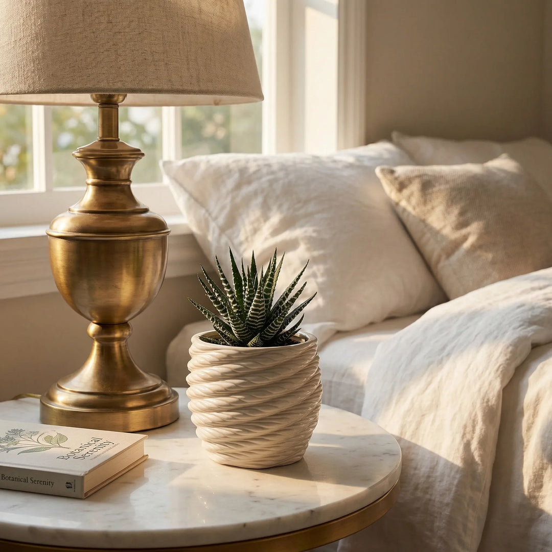 Vaso Carina in argilla con pianta haworthia su comodino accanto a lampada e libri