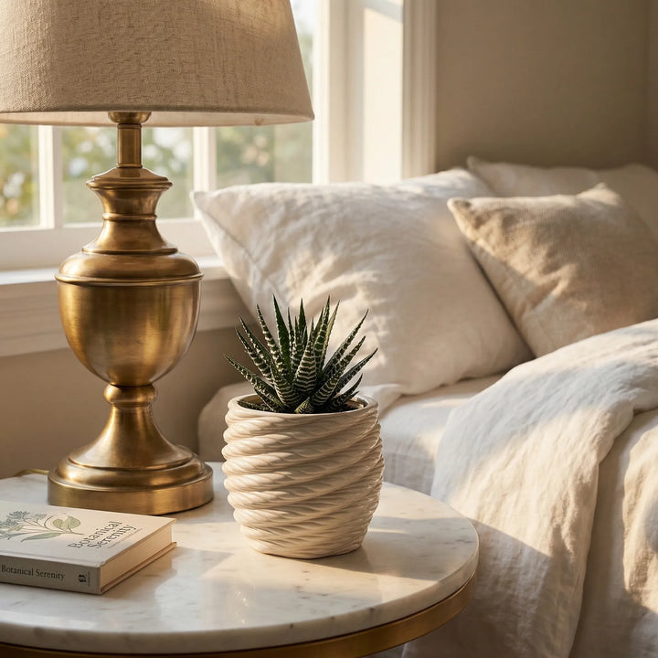 Vaso Carina in argilla con pianta haworthia su comodino accanto a lampada e libri