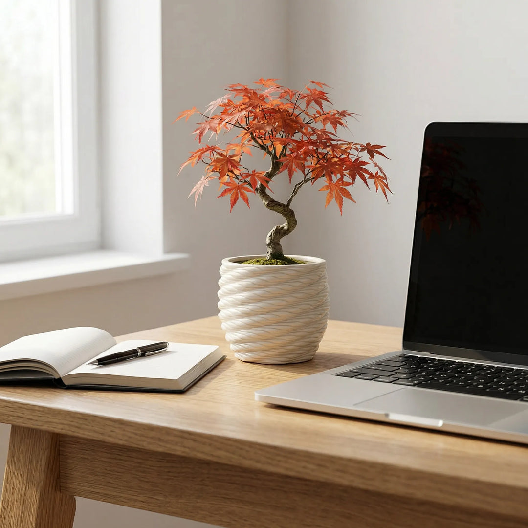 Vaso Carina in argilla con bonsai su scrivania in legno accanto a laptop e quaderno