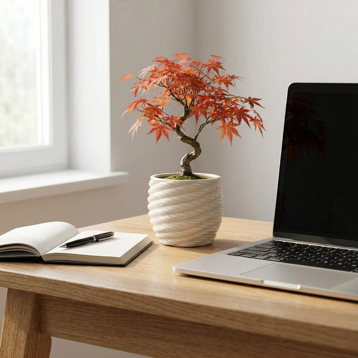 Vaso Carina in argilla con bonsai su scrivania in legno accanto a laptop e quaderno