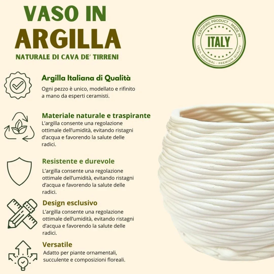 Vaso argilla artigianale Carina 9 cm - esempio di utilizzo con pianta