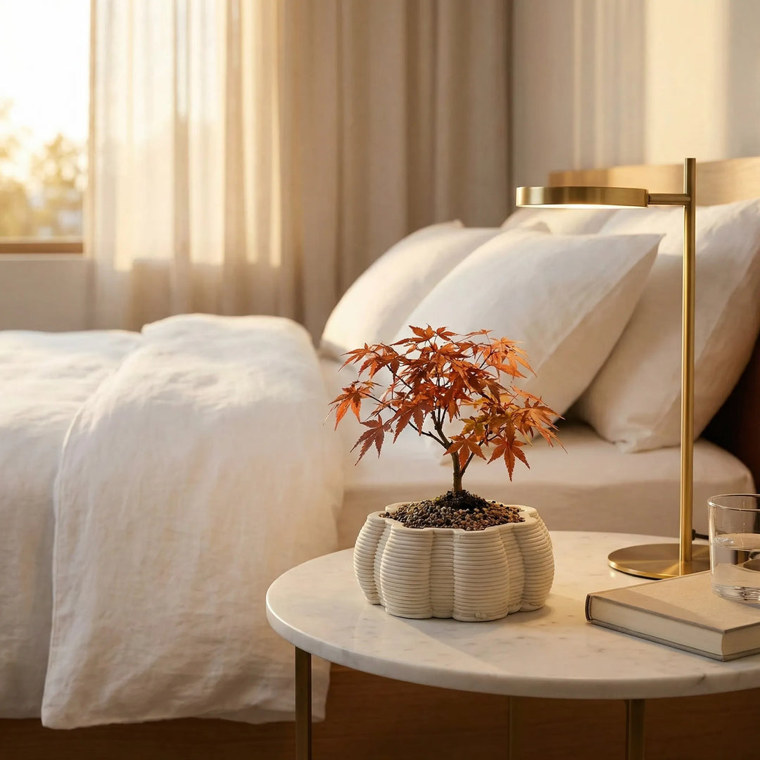 Vaso di ceramica artigianale Iris con bonsai su comodino, vaso elegante per arredamento interno