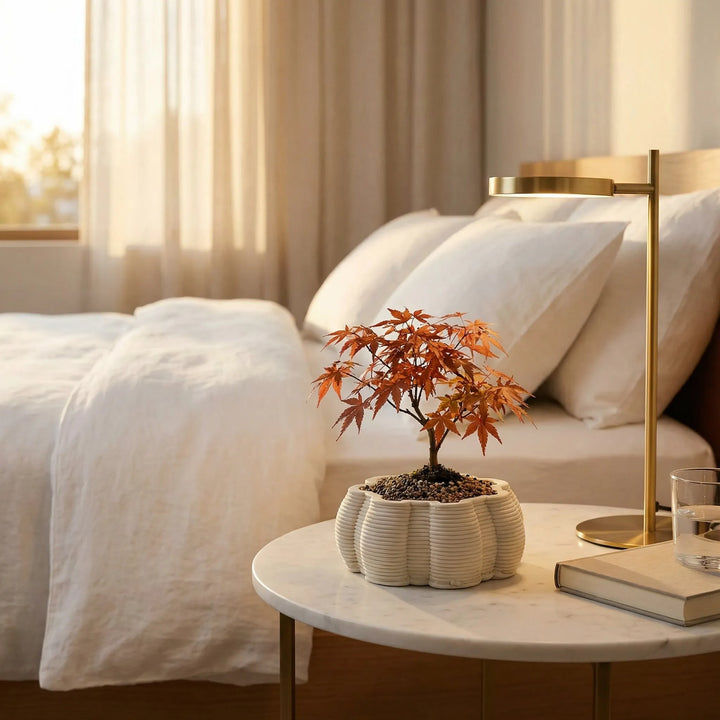 Vaso di ceramica artigianale Iris con bonsai su comodino, vaso elegante per arredamento interno