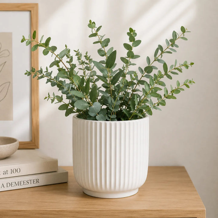 Rami di eucalipto inseriti nel vaso Pitti bianco rigato, posizionato su mobile in legno in un ambiente luminoso dallo stile minimal.