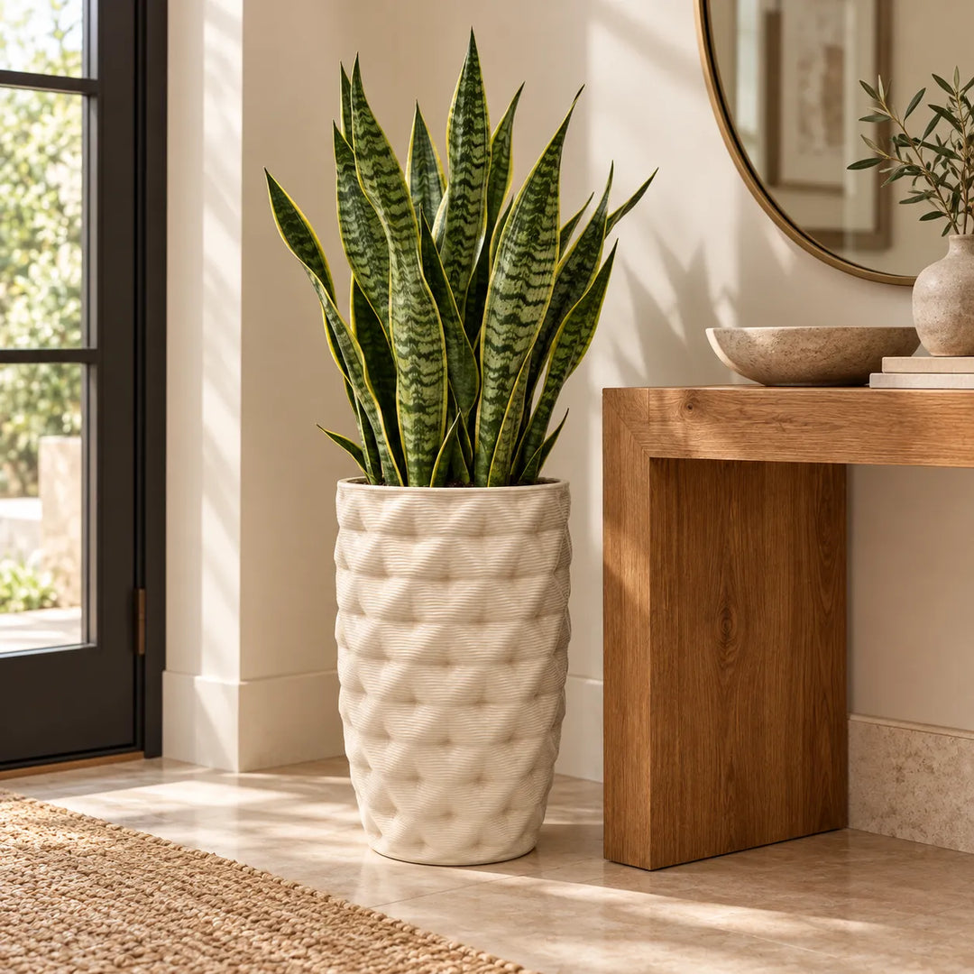 Vaso in argilla Rua alto color avorio con pianta Sansevieria, posizionato sul pavimento di un ingresso moderno accanto a una consolle in legno.