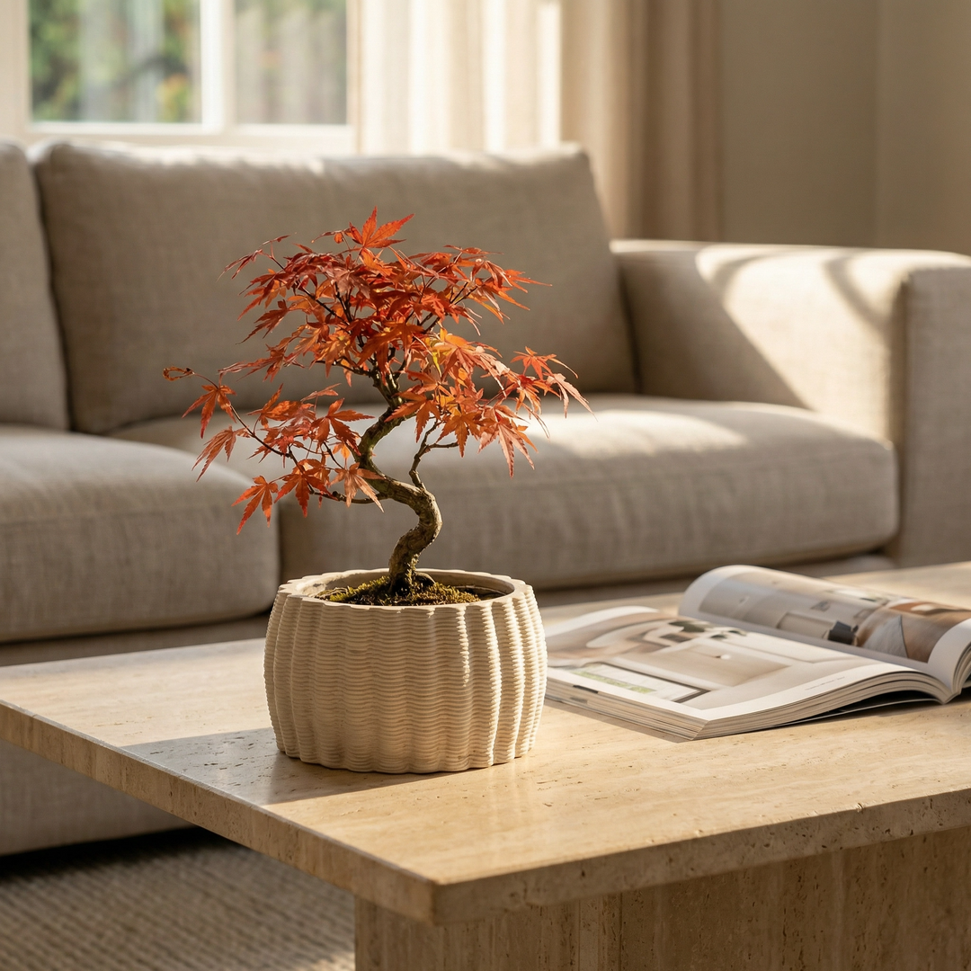 Vaso Dioniso con bonsai su tavolino da salotto in ambiente caldo e moderno