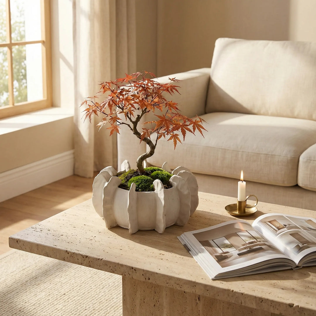 Vaso decorativo con bonsai su tavolino da salotto in ambiente luminoso