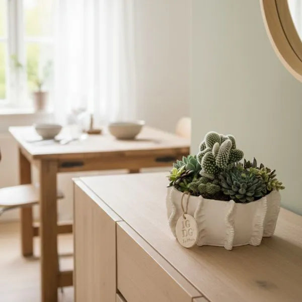Vaso con composizione di piante grasse e cactus da interno su mobile in legno in sala da pranzo, soluzione elegante per decorare ambienti con poca manutenzione.