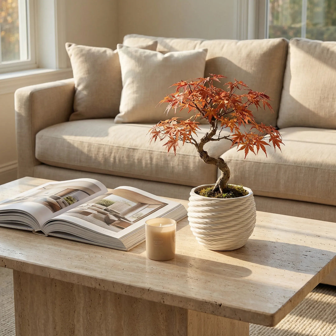 Vaso Carina con bonsai acero su tavolino da salotto in ambiente elegante