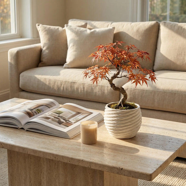 Vaso Carina con bonsai acero su tavolino da salotto in ambiente elegante