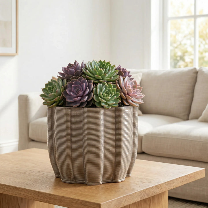 Vaso in ceramica ovale con composizione di piante grasse su tavolino in legno