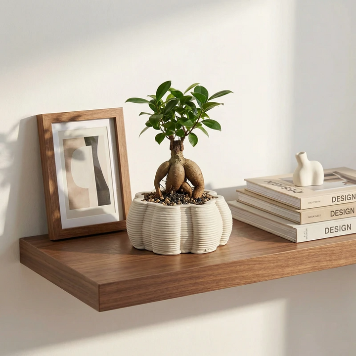 Vaso di ceramica artigianale Iris con bonsai su mensola in legno, vaso decorativo per interni moderni