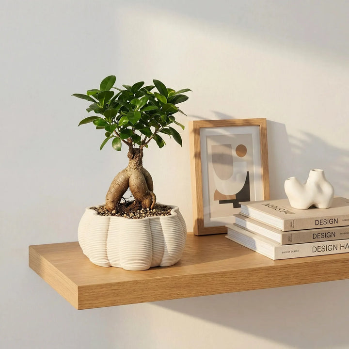 Vaso in ceramica artigianale Iris con bonsai su mensola in legno, elemento decorativo per interni