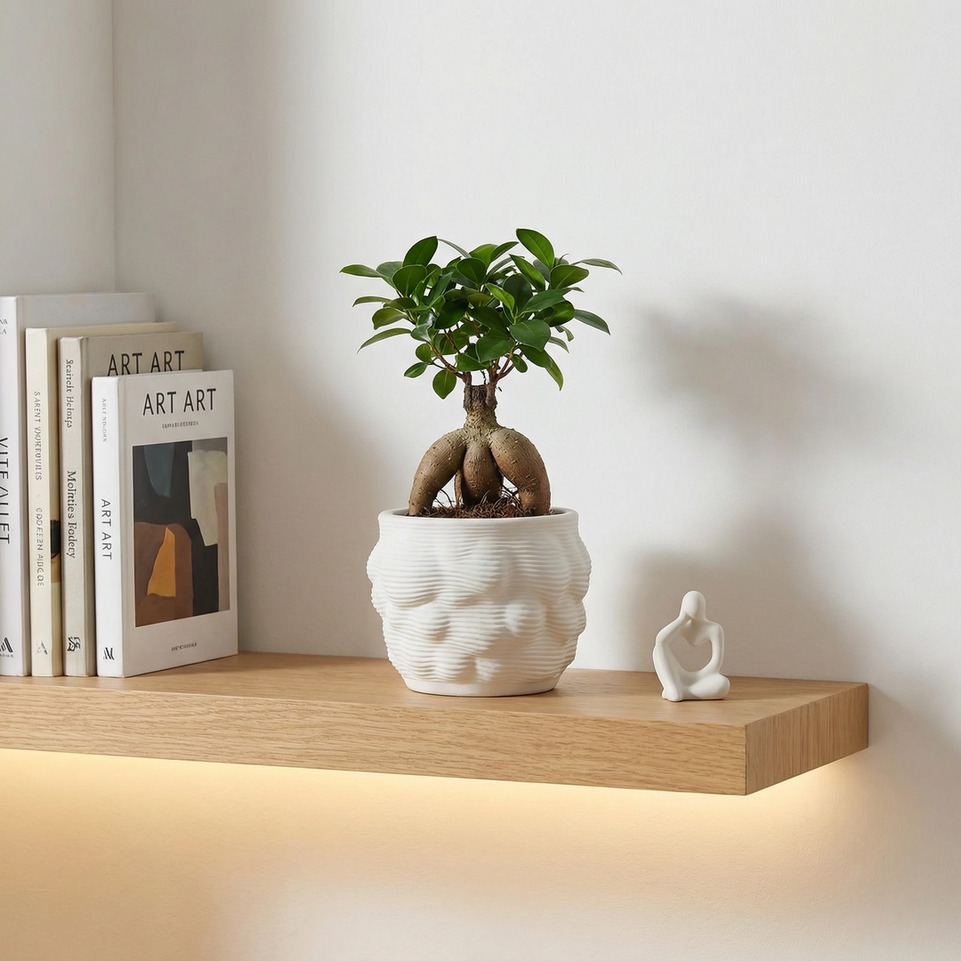 Vaso artigianale Alba con bonsai ficus su mensola in legno con libri e decorazioni