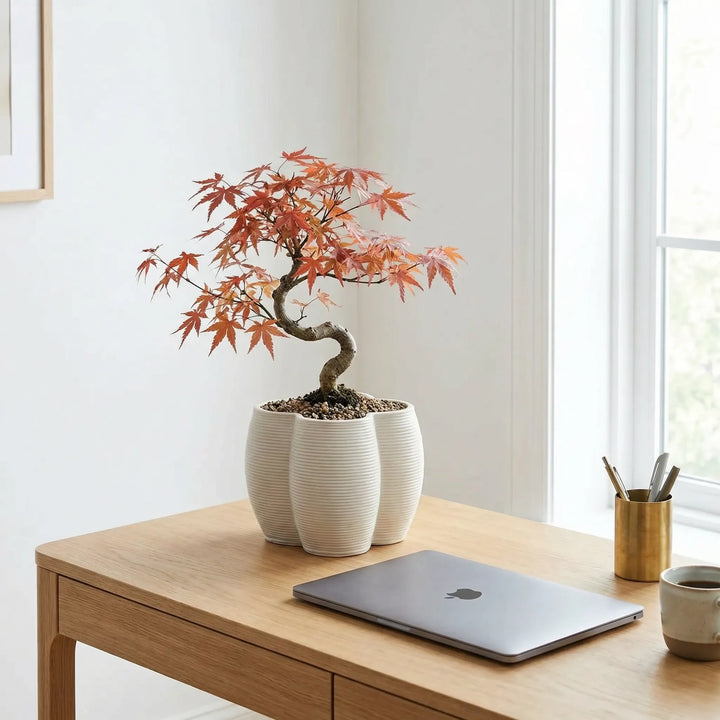 Vaso decorativo in ceramica con bonsai su scrivania minimal con laptop