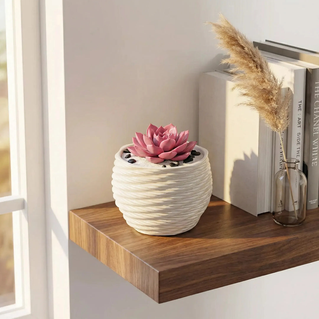 Vaso Carina con echeveria rosa su mensola in legno in ambiente luminoso