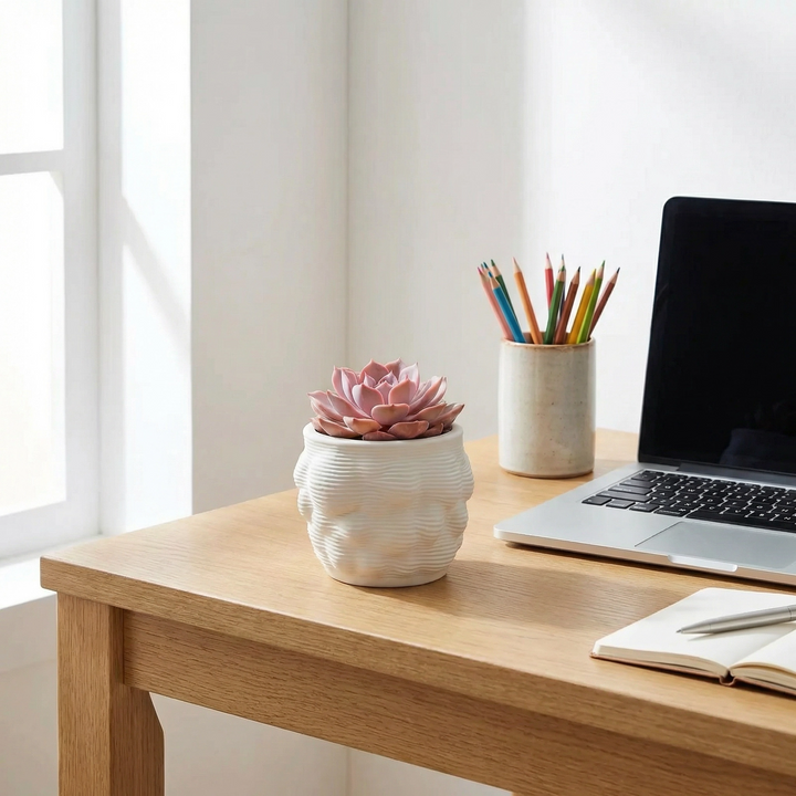 Vaso Alba con echeveria su scrivania in legno accanto a laptop e accessori ufficio