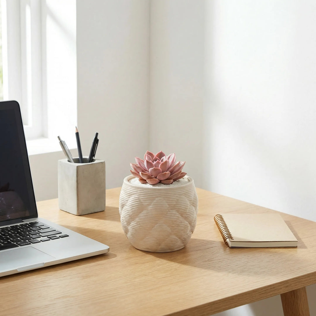 Vaso artigianale Alba con echeveria su scrivania moderna accanto a laptop e taccuino