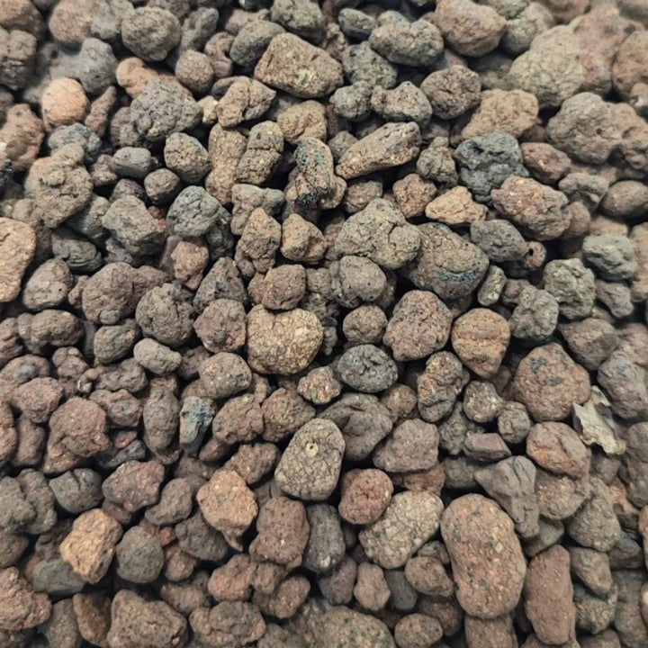 Argilla espansa naturale per terrarium, substrato drenante ideale per piante tropicali, succulente e composizioni verdi in vaso