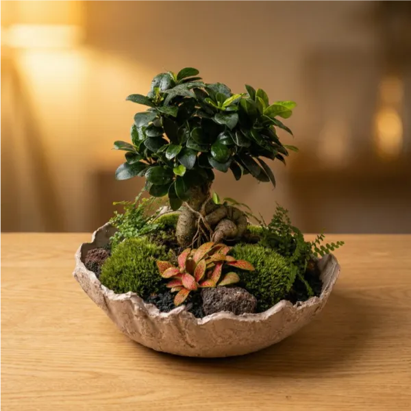 Géoterrarium avec bonsaï D.31