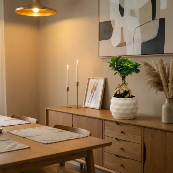 Bonsai Ficus Ginseng - pianta in vaso Athena L su credenza in sala da pranzo con candele