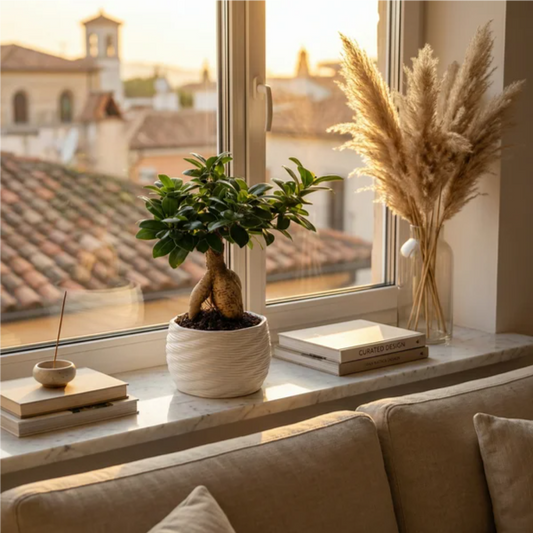 Bonsai Ficus Ginseng - dettaglio del tronco scultoreo e radici aeree