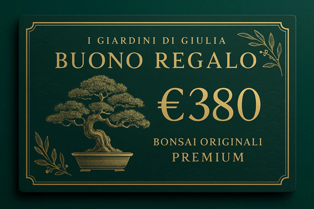 Buono Regalo Bonsai Originali Premium | Collezione Esclusiva I Giardini di Giulia - i Giardini di Giulia  