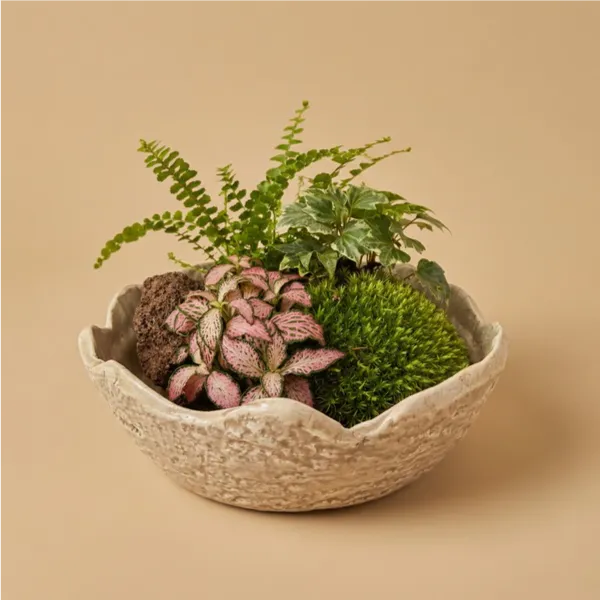 Terrarium avec dôme en verre Medium