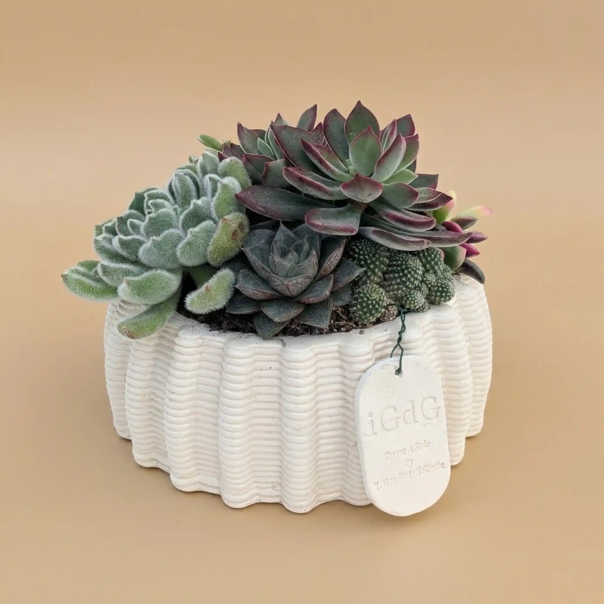 Fioriere Succulente Animali Dei Cartoni Animati |Vasi Da Fiori In Resina |Zebra, Giraffa, Orso, Panda, Ippopotamo |Larredamento Della Scrivania Dellufficio Domestico Da 10,95 € | DHgate Fioriere Succulente Animali Dei Cartoni Animati |Vasi Da Fiori In Resina |Zebra, Giraffa, Orso, Panda, Ippopotamo |Larredamento Della Scrivania Dellufficio Domestico Da 10,95 € | DHgate