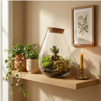 Terrarium Coraline - Vista laterale dell'elegante contenitore in vetro
