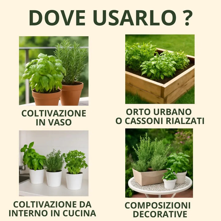 Utilizzi consigliati del terriccio per piante aromatiche: coltivazione in vaso, orto urbano con cassoni rialzati, coltivazione da interno in cucina e composizioni decorative con erbe.