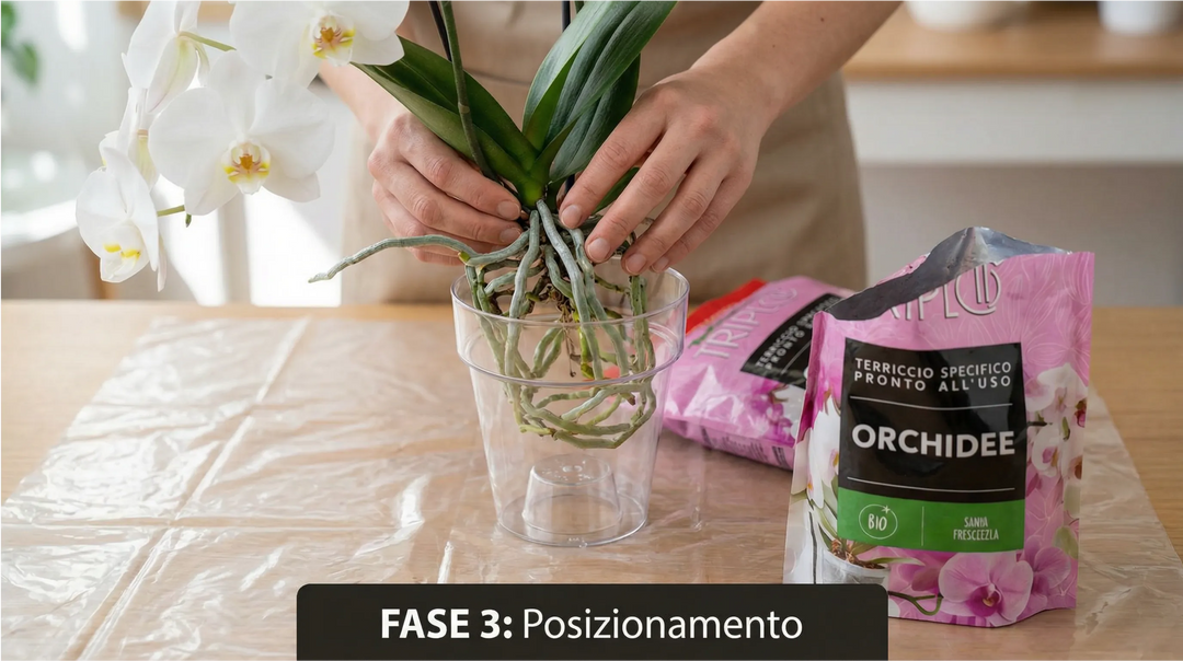 Kit rinvaso completo per orchidee