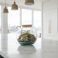 Terrarium piante in vetro - Dettaglio delle piante verdi all'interno del terrarium